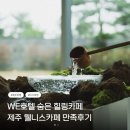 we호텔제주 슬로우말차 후기, 숲속 정원에서 즐긴 제주 웰니스 카페