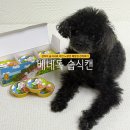 아이캔독 | 강아지 습식사료 추천 베네독 캔 노령견 췌장염 관리후기