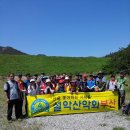 2012년4월두릅산행 이미지