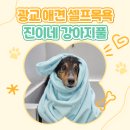 멍빨 | 광교 강아지셀프목욕 진이네 강아지풀에서 추석맞이 멍빨