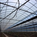 부산면사무소 이미지