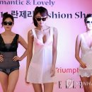 란제리패션쇼