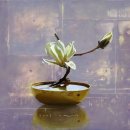 기억-그리움 이미지