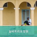 실버트리요양원 네이버블로그