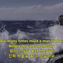 Blowing in the wind - Bob Dylan (바람만이 아는 대답- 밥 딜런) 이미지