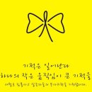 맹골사랑 이미지