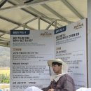 서암 | 농촌투어패스 국중남 서암벌꿀농장 아이와 수벌 만진 후기