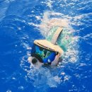 렛츠독 | 요미의 여름 수영일기🐶🐾 렛츠플레이독 후기👙🌊