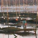 바다농장 이미지