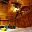 오색연가 이미지