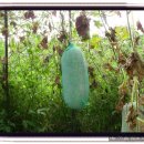 샘밭 농장 이미지