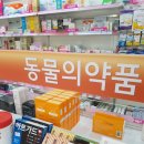 하나동물약국 이미지