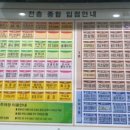 시아우545 이미지