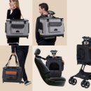 엘리스펫 이미지