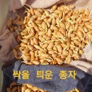 땅콩파종 이미지