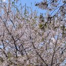 송파제일번역행정사사무소 이미지