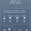 생태교육 | 한 달 전부터 준비한 야외수업날 비 온 썰 | 학교 숲 생태교육 후기