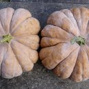 원조추어탕 이미지