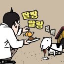 삼호짱뚱이 이미지