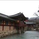 순천-59호 이미지