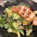 다피타(da pitta) 이미지