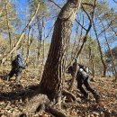 1263 | 오지산행후기(1263차) 송근봉 2024.12.07(토)