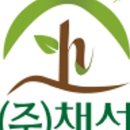 주식회사 채선 네이버블로그