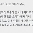 복어나라 이미지