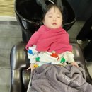(육아/일상)박승철헤어스투디오 대전 둔산이마트점 스타일링 대전 여자아이 헤어스타일 아이헤어