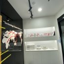 시온테라 이미지