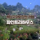 아라힐링카페 | [아라뱃길 카페] 야외정원에서 힐링 가능한 파인트리하우스 후기