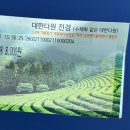 운동화2500 | 겨울에 다녀온 전남 보성 녹차밭 대한다원 운동화 필수 | 국내 겨울 여행 추천