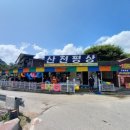 올여름 마지막 계곡 [ 충북 괴산 사담계곡 ]