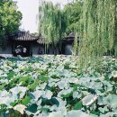 순희민박 이미지