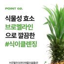 그린클린 이미지