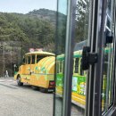 [부산/태종대] 다누비열차 타고 전망대 오션뷰 카페 블루빈까지 부산 힐링 여행지 추천