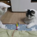 두리동물클리닉 이미지