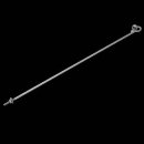 지선이네 이미지