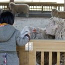 상촌새말길 이미지