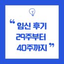 29 | 임신 후기, 29주부터 40주까지