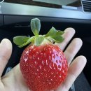 신곡리 경로당 이미지