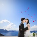 아리스타투어( 이미지