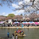 금산첨화