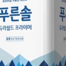 푸른솔 이미지