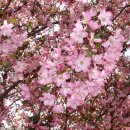 완산-25 이미지