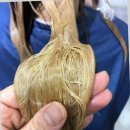 군산미용실 살롱드폴 | 살롱드폴 군산미용실 후기! 커트와 염색 모두 실망 없는 이유