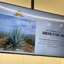 자연팜 | 청량리역 카페 컵과일 &amp; 과일디저트 추천 엘로우팜 청량리역점 방문 후기