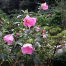 달빛소리마을 이미지