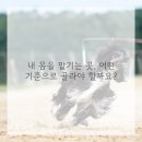 희망한의원 이미지