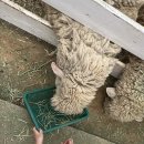 건양목장 네이버블로그